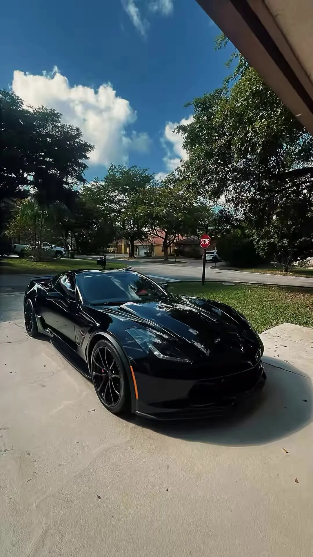 Black Corvette after a detail, parked in a sunny driveway